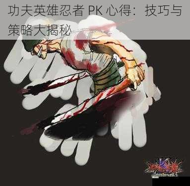 功夫英雄忍者 PK 心得：技巧与策略大揭秘