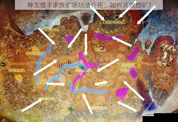 神龙猎手家族矿场玩法介绍：如何高效挖矿？