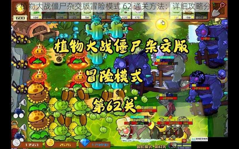 植物大战僵尸杂交版冒险模式 62 通关方法：详细攻略分享