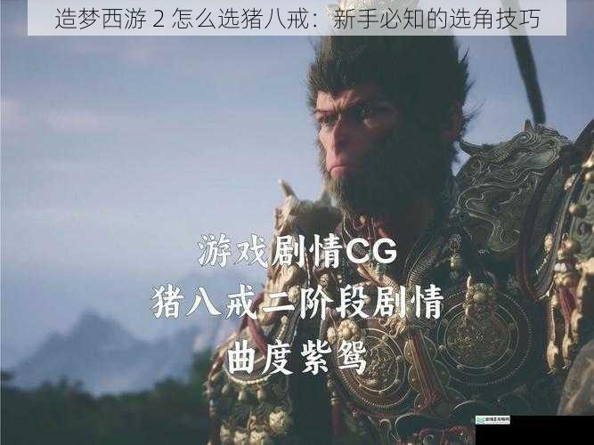 造梦西游 2 怎么选猪八戒：新手必知的选角技巧