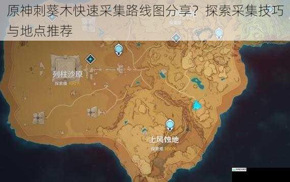 原神刺葵木快速采集路线图分享？探索采集技巧与地点推荐