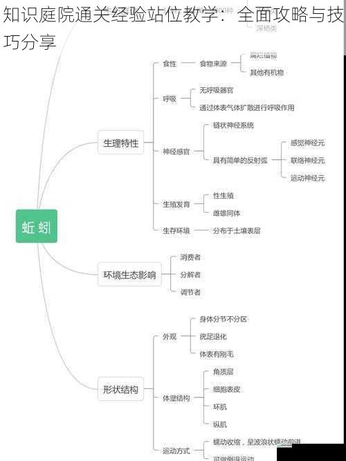 知识庭院通关经验站位教学：全面攻略与技巧分享