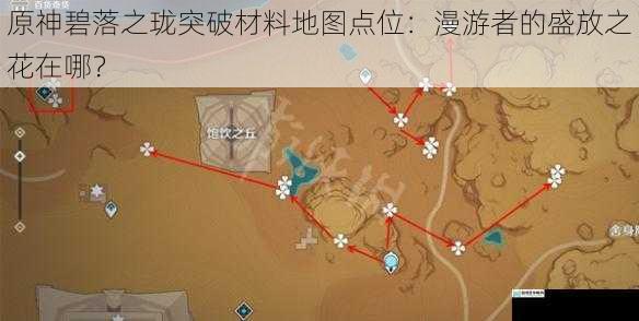 原神碧落之珑突破材料地图点位：漫游者的盛放之花在哪？