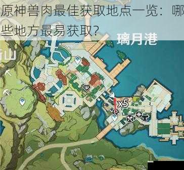 原神兽肉最佳获取地点一览：哪些地方最易获取？