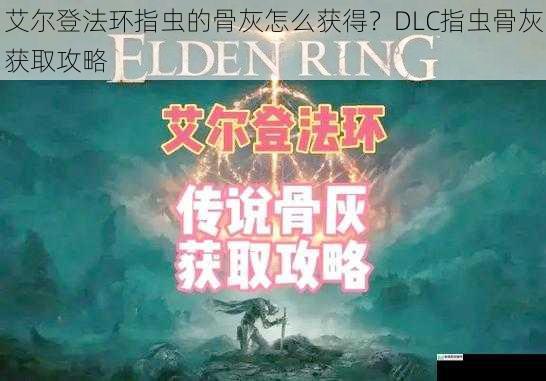 艾尔登法环指虫的骨灰怎么获得？DLC指虫骨灰获取攻略