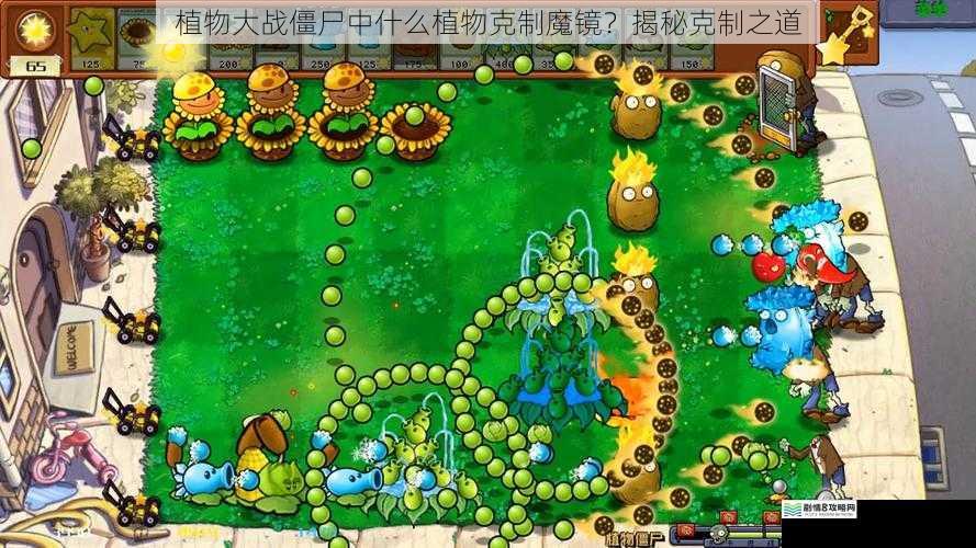 植物大战僵尸中什么植物克制魔镜？揭秘克制之道