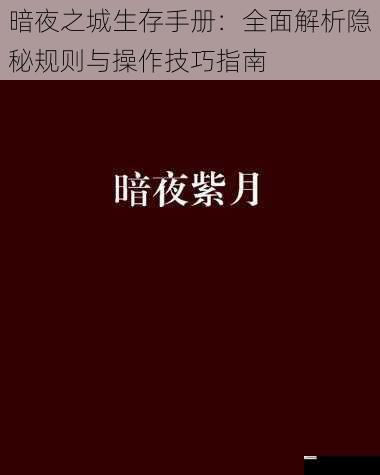 暗夜之城生存手册：全面解析隐秘规则与操作技巧指南