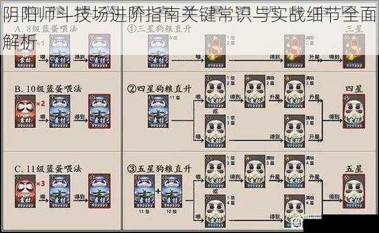 阴阳师斗技场进阶指南关键常识与实战细节全面解析