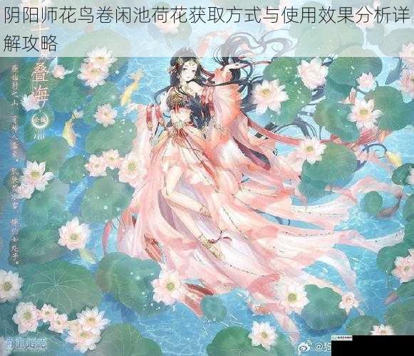 阴阳师花鸟卷闲池荷花获取方式与使用效果分析详解攻略