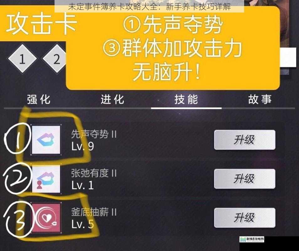 未定事件簿养卡攻略大全：新手养卡技巧详解
