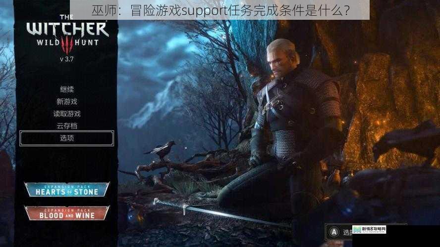 巫师：冒险游戏support任务完成条件是什么？