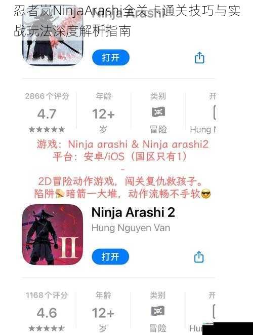 忍者岚NinjaArashi全关卡通关技巧与实战玩法深度解析指南