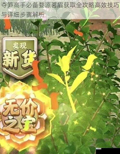 夺笋高手必备婺源茗眉获取全攻略高效技巧与详细步骤解析