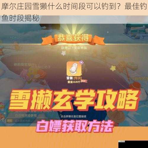 摩尔庄园雪獭什么时间段可以钓到？最佳钓鱼时段揭秘